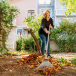 Ratschläge für Arbeiten im Garten