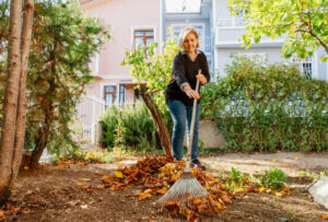Ratschläge für Arbeiten im Garten
