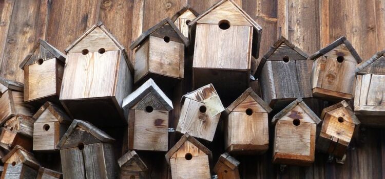 Vogelhäuschen